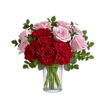 Crimson Blossom Harmony