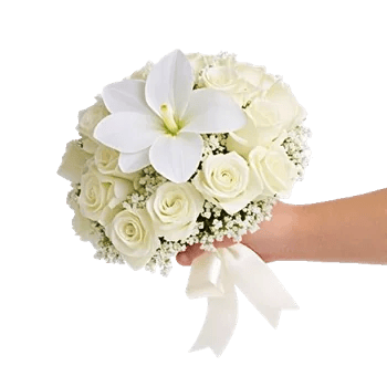 Modern White Orchids