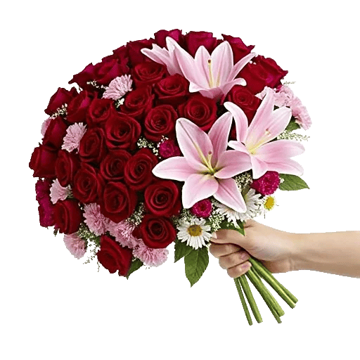 Blushing Rose Symphony