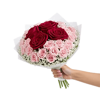 Crimson Rose Elegance