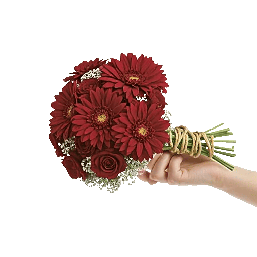 Crimson Blossom Harmony