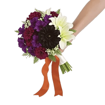 Petal Grace Harmony