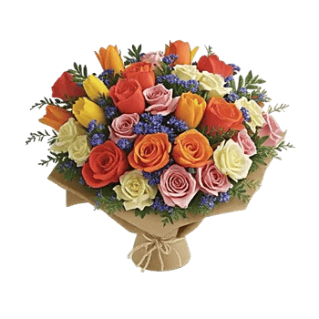 Coral Blossom Harmony