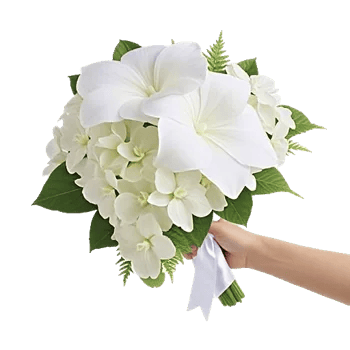 Modern White Orchids