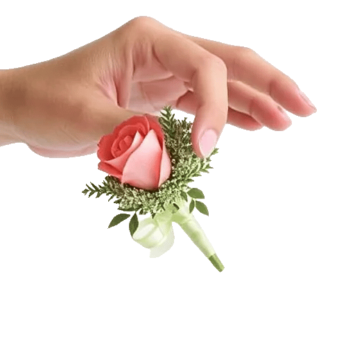 Coral Blossom Harmony