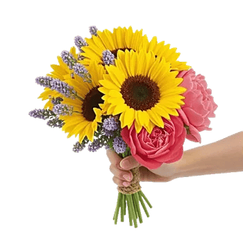 Twinkling Sunflower Dance