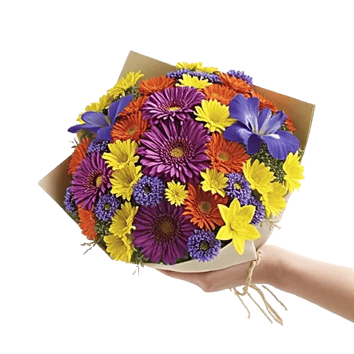 Vibrant Bloom Spectrum