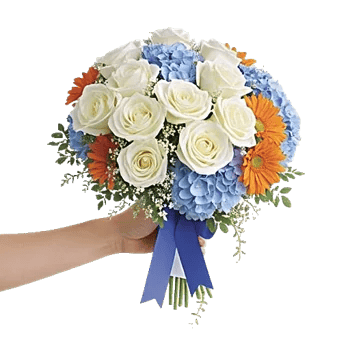 Serene Petal Harmony