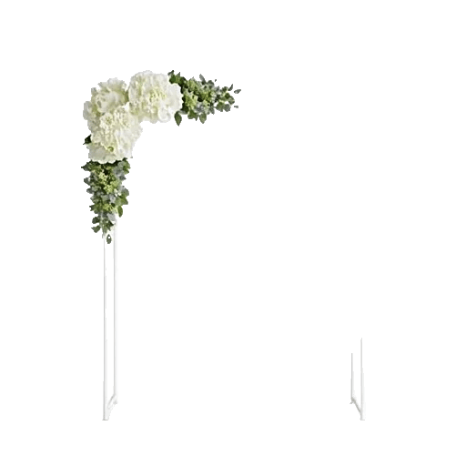 Ivory Blossom Radiance