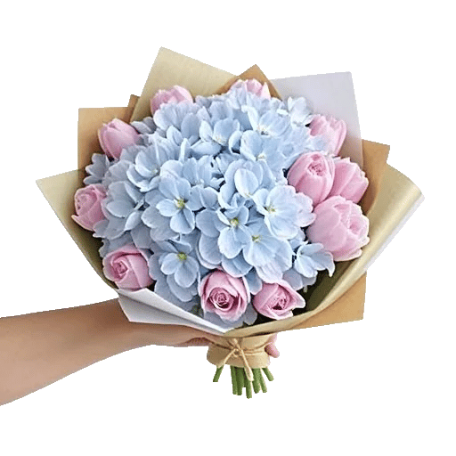 Serene Petal Harmony