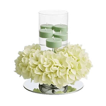 Ivory Blossom Radiance
