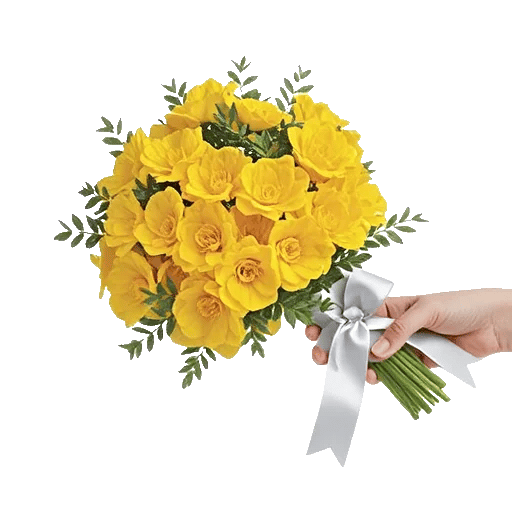 Blossom Harmony Display