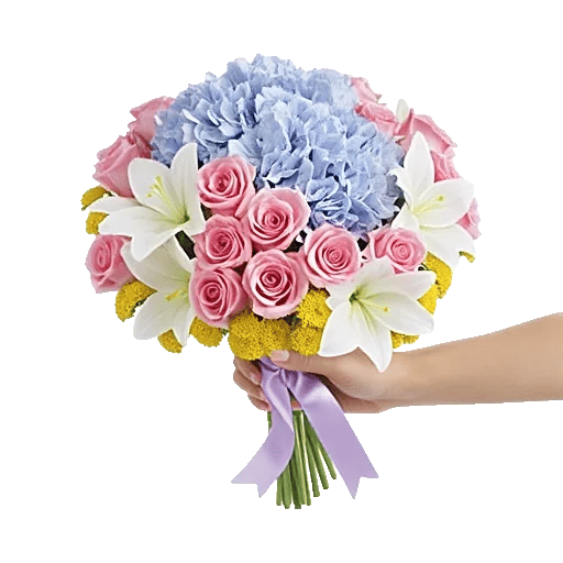 Serene Petal Harmony