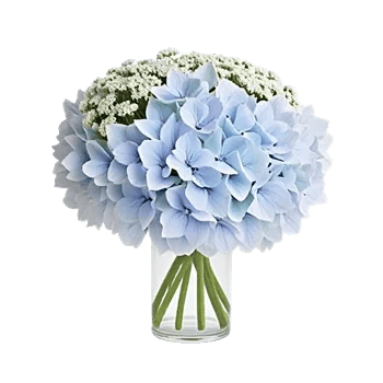 Ivory Blossom Radiance