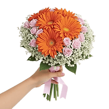 Petal Harmony Bliss