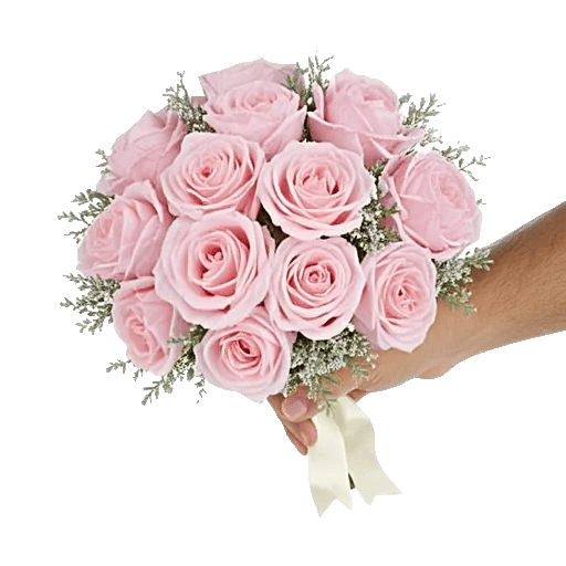 Pastel Pink Roses