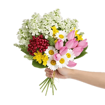 Blossom Harmony Display