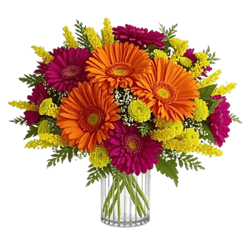 Vibrant Orange Delight