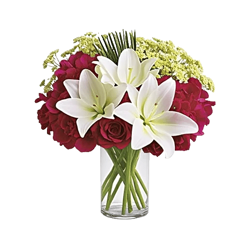 Petal Radiance Bliss