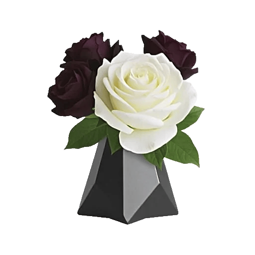 Radiant Rose Symphony
