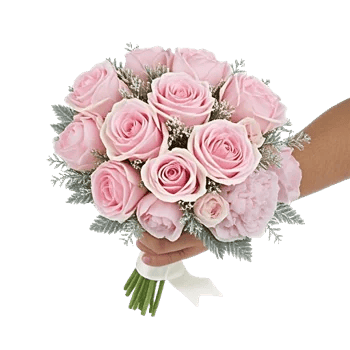 Pastel Pink Roses