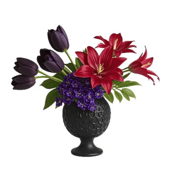 Velvet Tulip Display