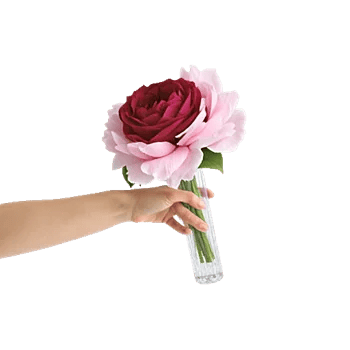 Crimson Blossom Harmony