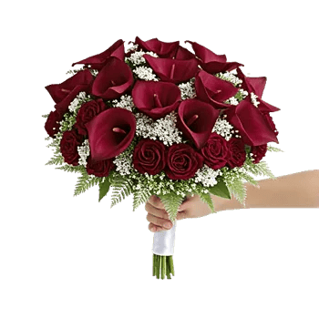 Elegant Calla Lilies