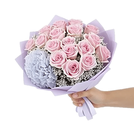 Pastel Pink Roses