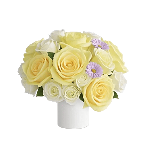 Ivory Blossom Radiance