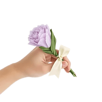 Petal Softness Display