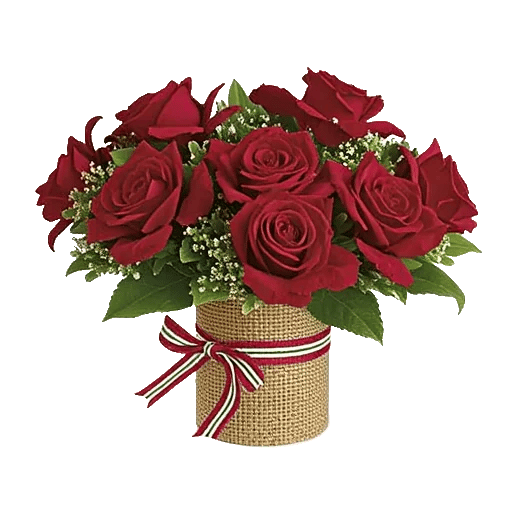 Crimson Rose Elegance