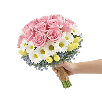 Blushing Rose Symphony
