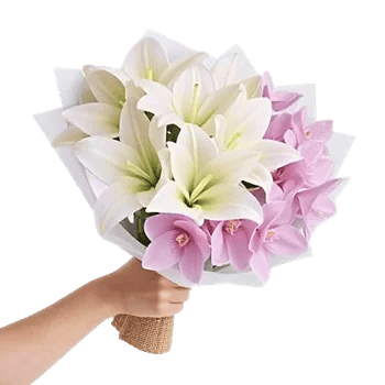 Orchid Bloom Cascade