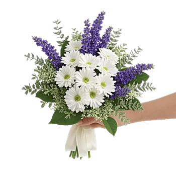 Rosemary Bloom Elegance