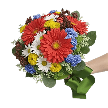 Coral Blossom Harmony