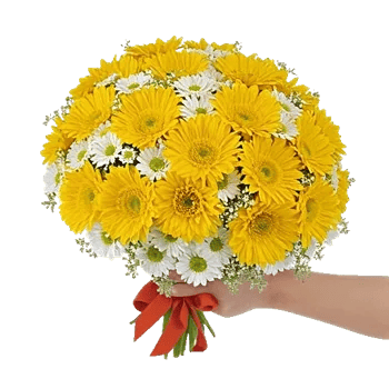 Golden Petal Harmony