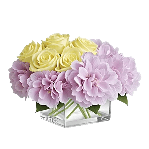 Serene Petal Harmony