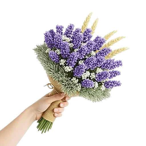 Lavender Fields Forever