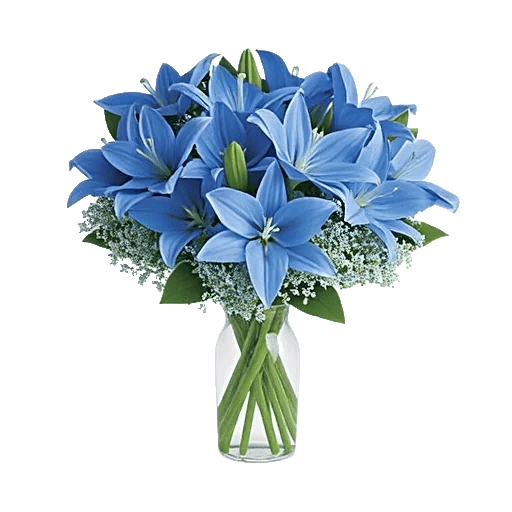 Frosted Lily Spread