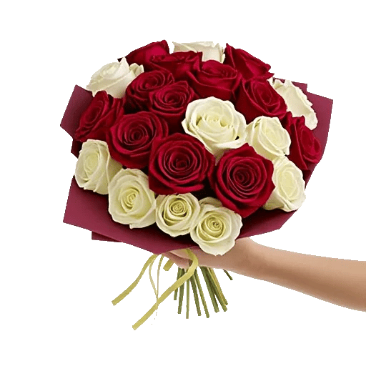 Crimson Rose Elegance