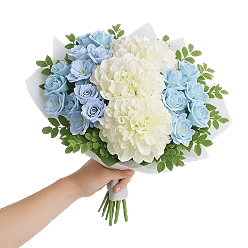 Sapphire Bloom Whisper