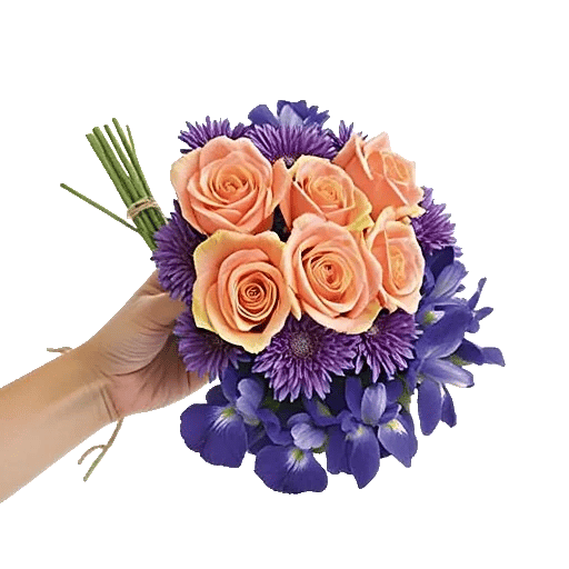 Petal Grace Harmony
