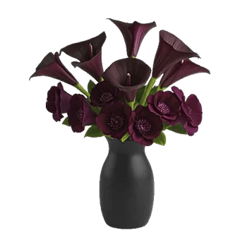 Elegant Calla Lilies