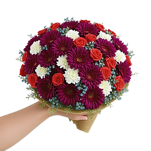 Plum Blossom Radiance