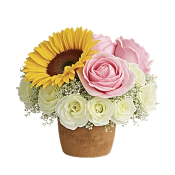 Amber Sunflower Glow