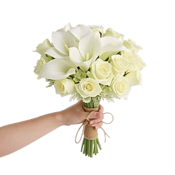 Elegant Calla Lilies