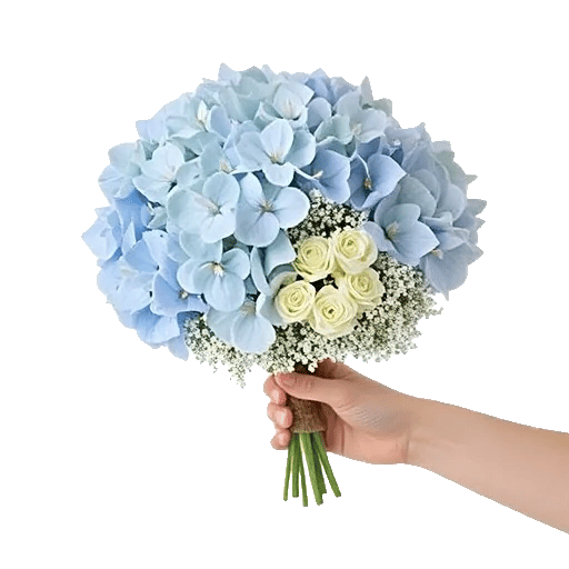 Serene Petal Harmony