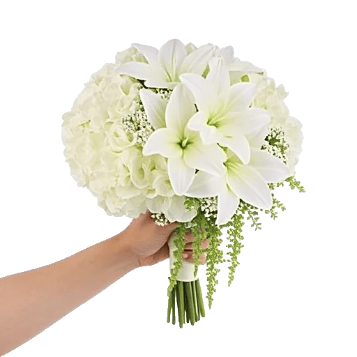 Ivory Garden Grace
