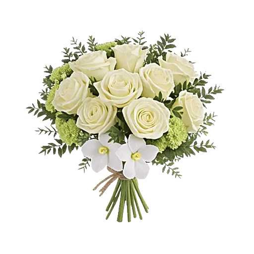 Ivory Garden Grace